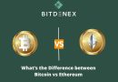 what the difference between bitcoin vs ethereum
