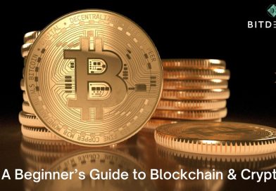 A Beginner’s Guide to Blockchain & Crypto