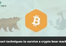 Smart techniques to survive a crypto bear market