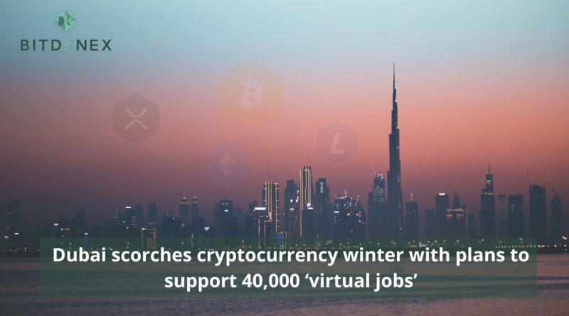 Dubai-scorches-cryptocurrency-winter-with-plans-to-support-40000-‘virtual-jobs