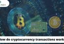 How do cryptocurrency transactions work?