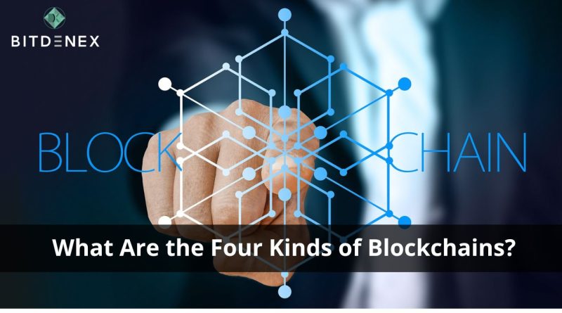 What-Are-the-Four-Kinds-of-Blockchains