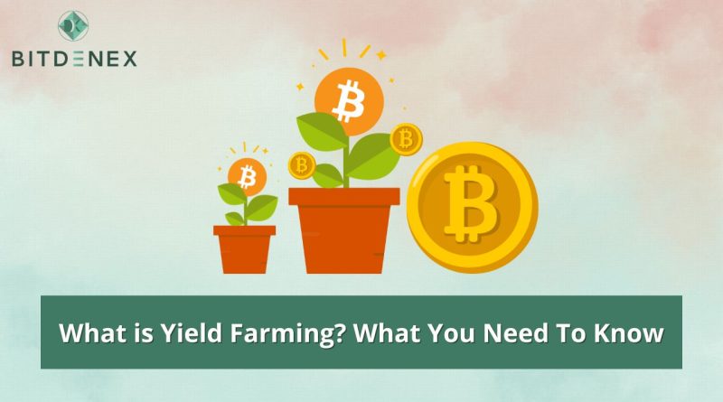 What-is-Yield-Farming-What-You-Need-To-Know