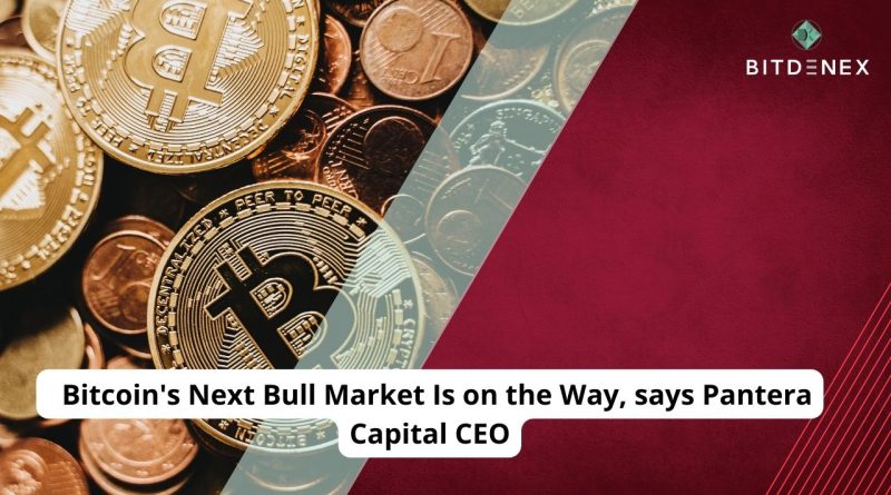 Bitcoin's Next Bull Market Is on the Way, says Pantera Capital CEO