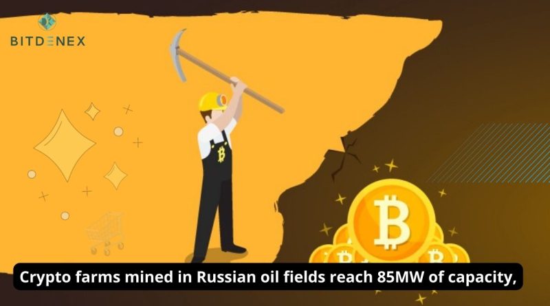 Crypto farms mined in Russian oil fields reach 85MW of capacity,