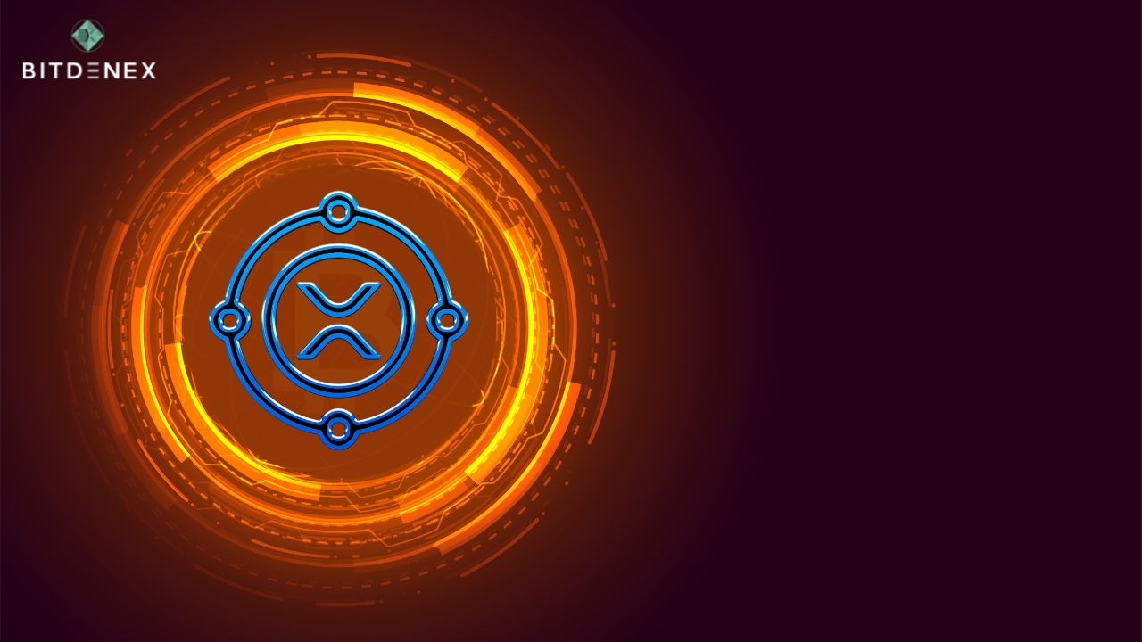 the-xrp-coin-tops-the-list-of-gainers-as-whale-interest-spikes-bitdenex