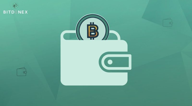 What Is Trust Wallet and How Does It Work?