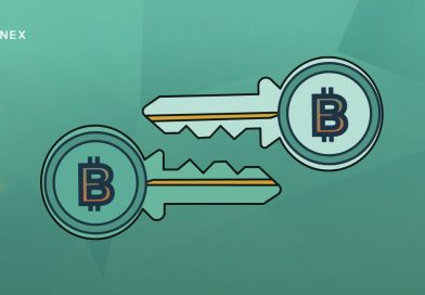 What are Public & Private Keys in Cryptocurrency and What is the difference between them?