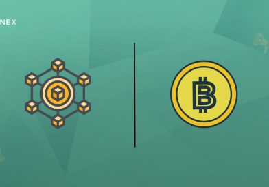 What is the Difference Between Cryptocurrency and Blockchain?