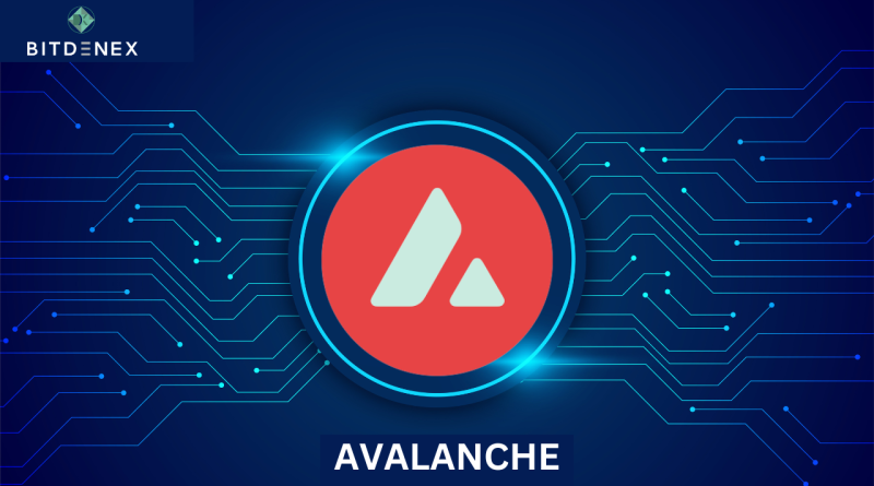 Avalanche launches the Cortina Upgrade, but will things change for AVAX (1)