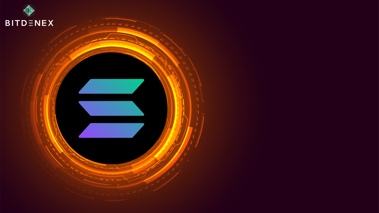 What is Solana, and how does it work? - Bitdenex