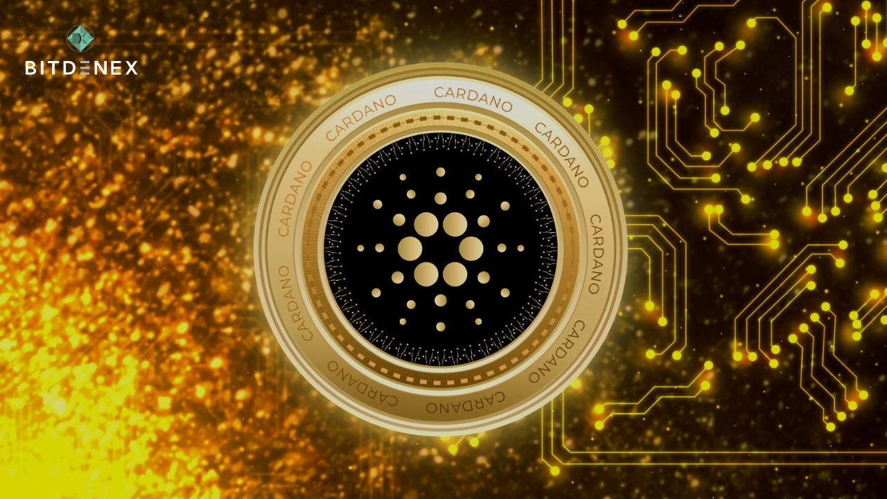 The Founder Of Cardano, Charles Hoskinson, Is Calling For Bitcoin ...