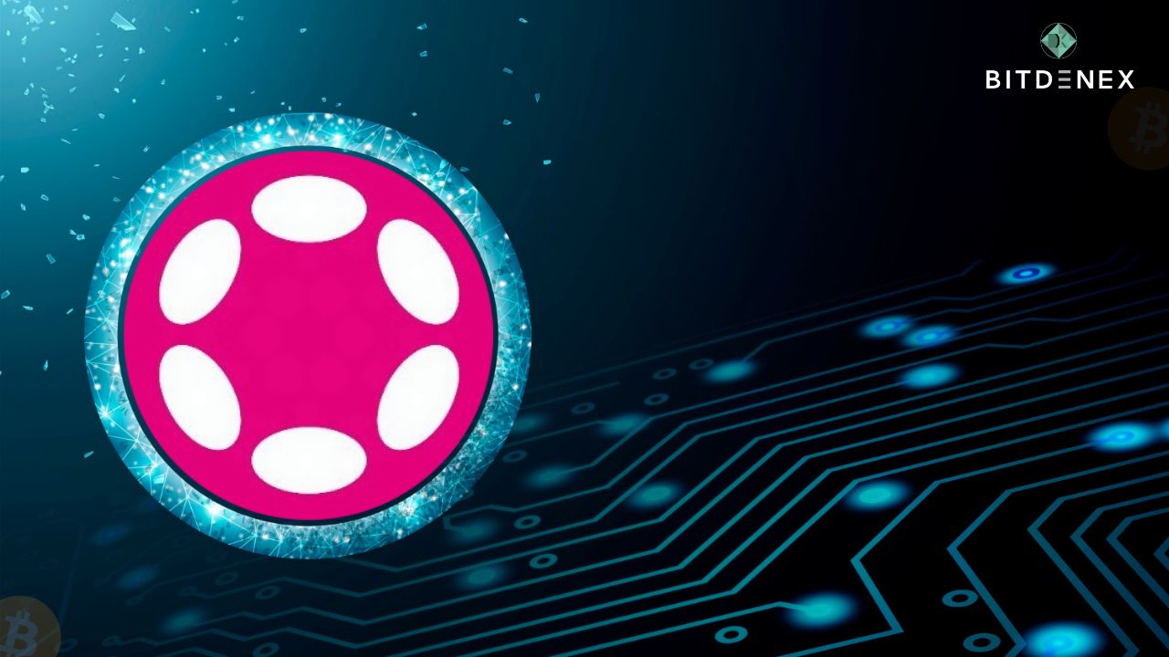 What Is Polkadot (DOT) And How Does It Work? - Bitdenex