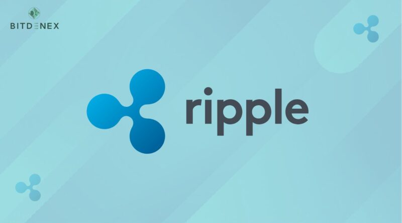 Difference between Ripple and the XRP Cryptocurrency