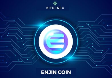 What Is Enjin Coin?