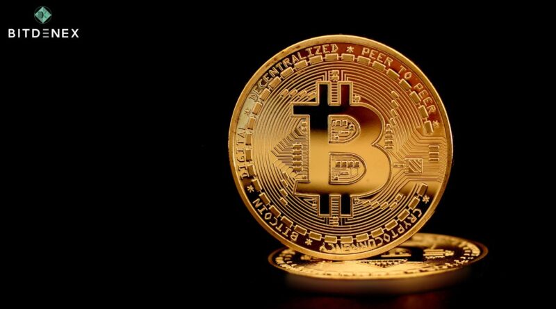 Spot Bitcoin ETFs scoop up another 10,500 Bitcoin (BTC) on day 5