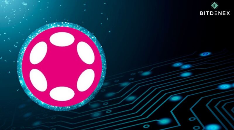Polkadot Breaks Records With Over 600,000 Active Addresses: Data