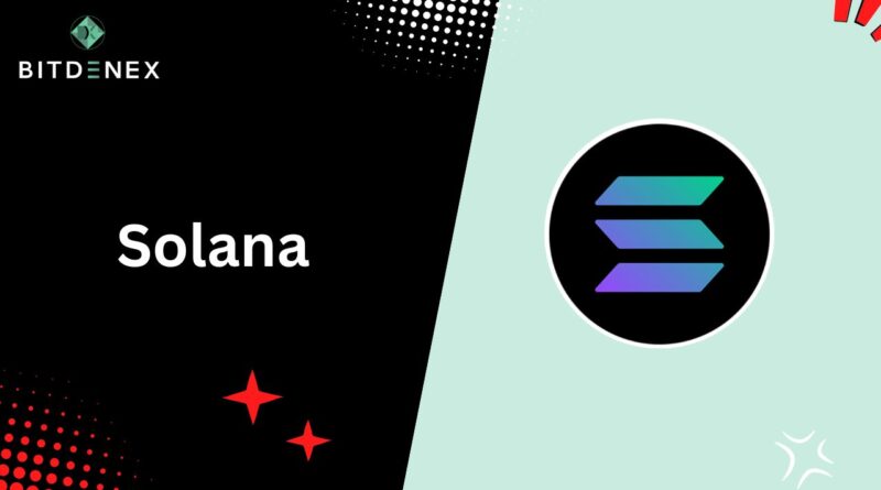 Why is Solana (SOL) price up today?
