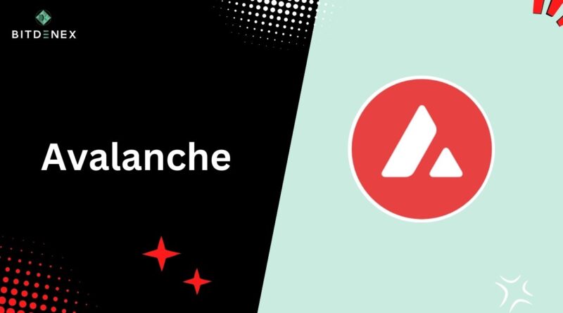 Avalanche announces $40m grant program for L1 developers