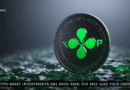 Critical Deadline for Ripple (XRP) Holders Revealed